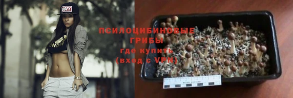 2c-b Белая Холуница