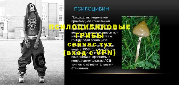хмурый Нязепетровск